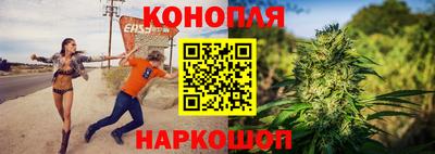 дживик Донской