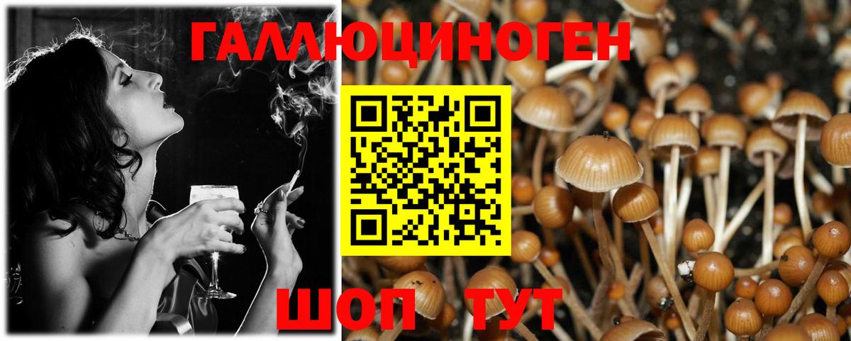 Галлюциногенные грибы мицелий Медногорск